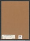 Denticella fimbriata (Grev.) Grun (de-Toni-Nr.: Genus 125, Species 3523) Zeichnungen Sammlung Grunow Mappe 03705 (Herbarium_W_Grunow_drawings_Folder_03705)